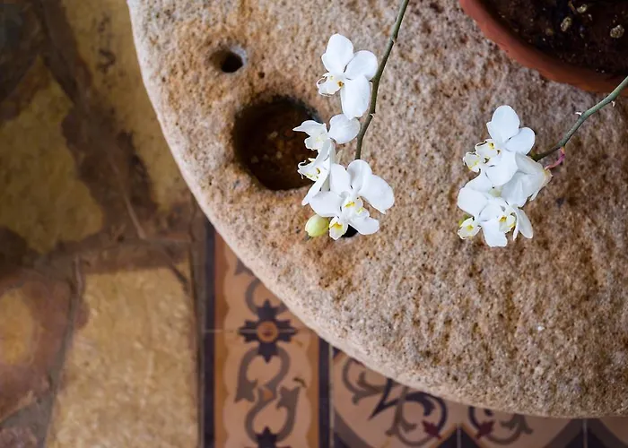 Vrysomylos * Vromonérion